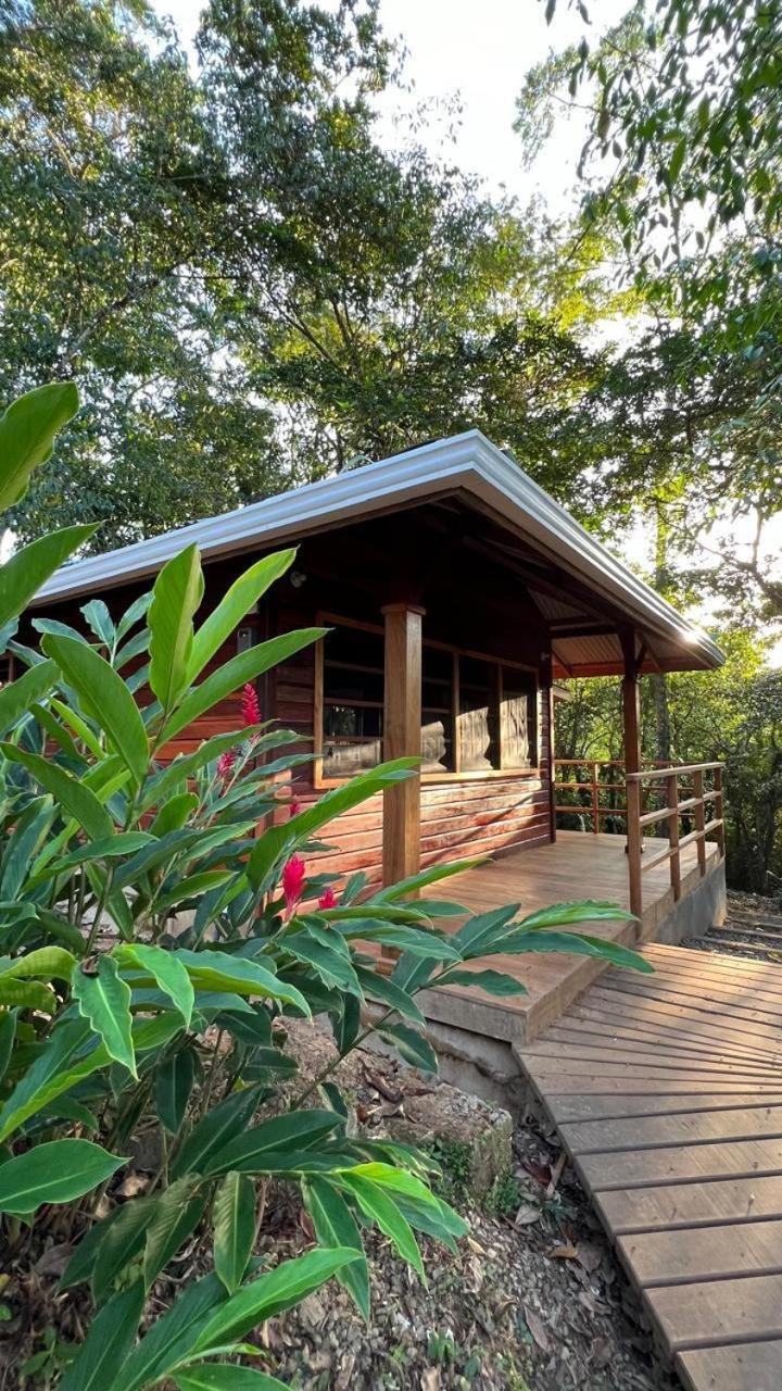Akwaba Lodge The Gap Extérieur photo