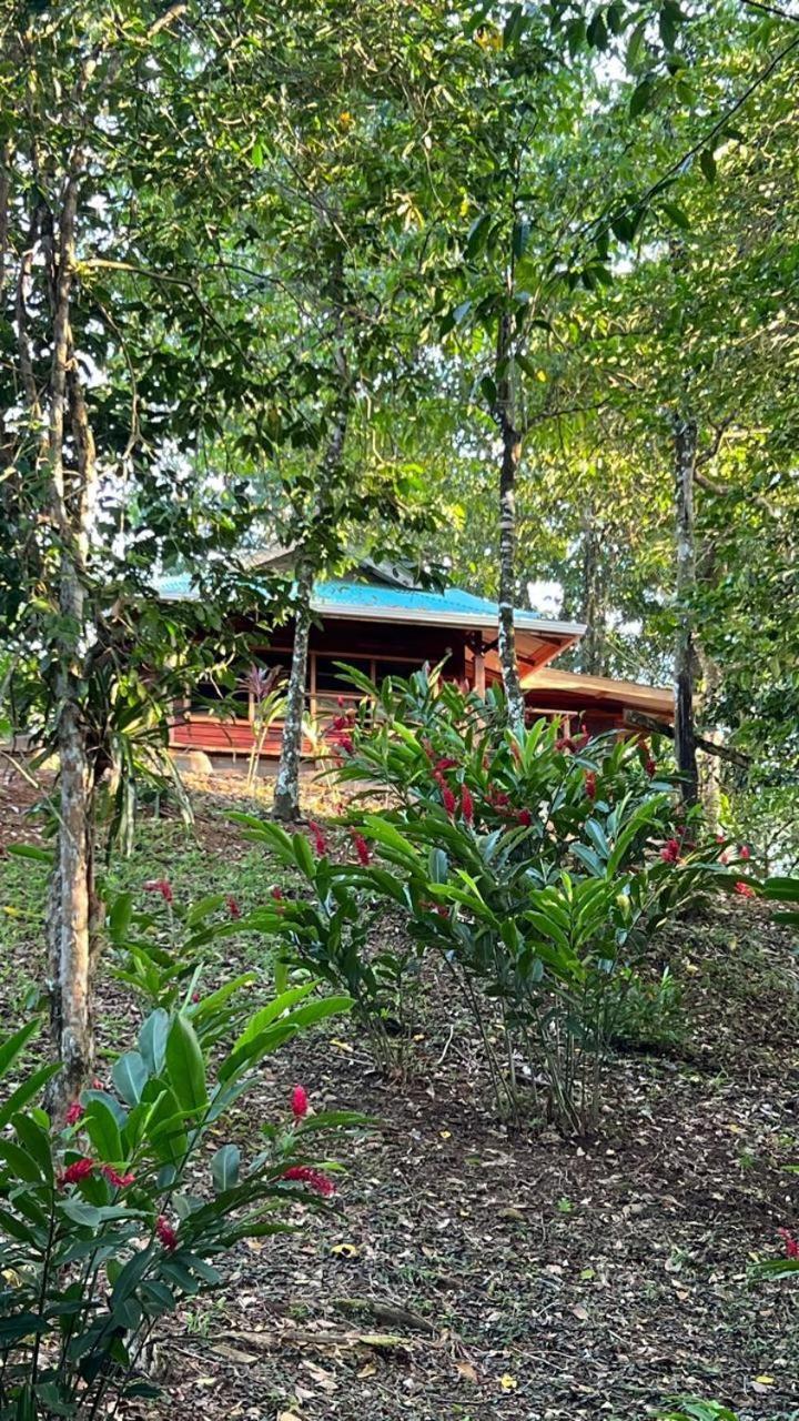 Akwaba Lodge The Gap Chambre photo